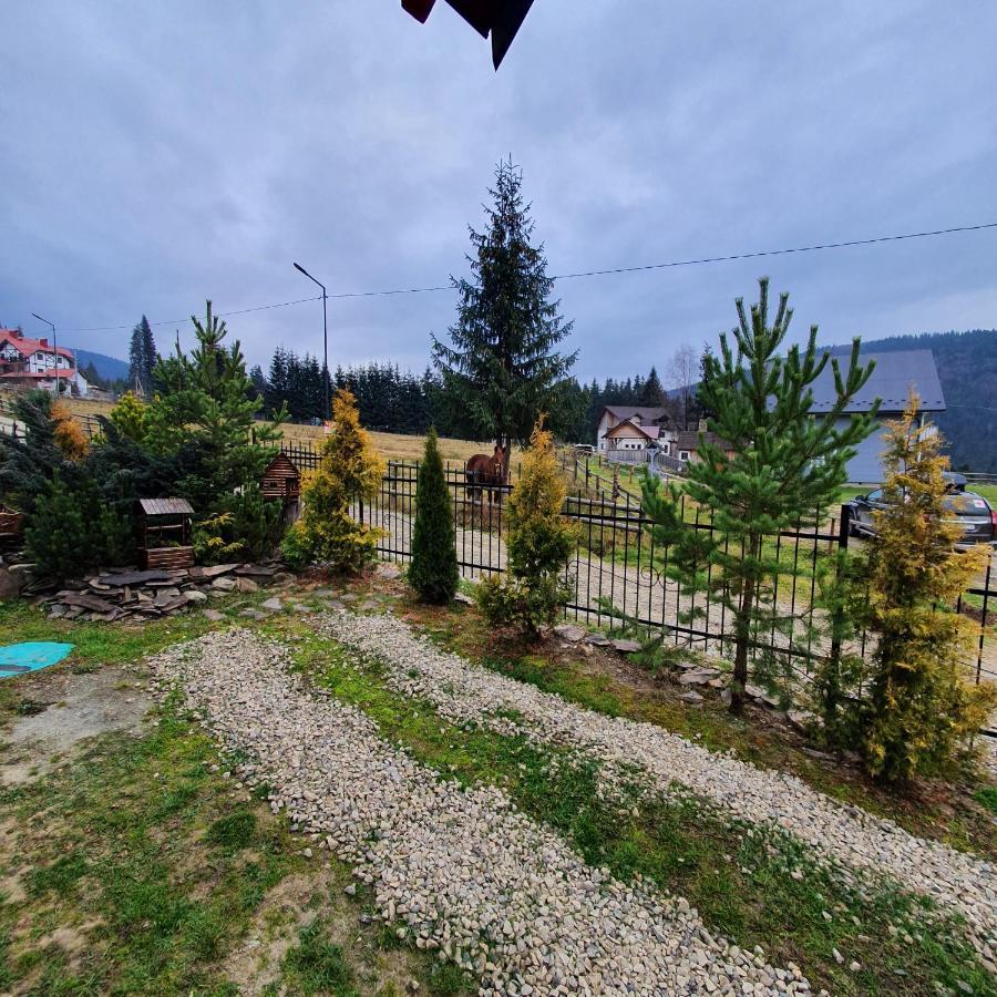 Chalet 888 Cottages Palyanytsya Ngoại thất bức ảnh