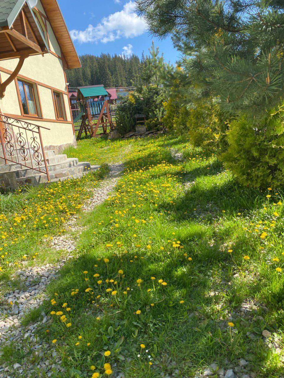 Chalet 888 Cottages Palyanytsya Ngoại thất bức ảnh
